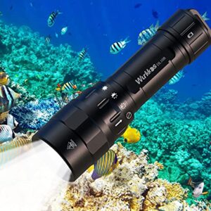 Wurkkos DL10R Tauchlampe mit 4500 Lumen in einer Unterwasser-Szenerie, beleuchtet farbenfrohe Korallen und Fische.