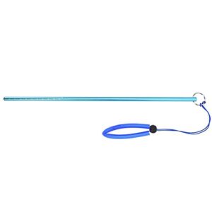 Riffstab für Tauchen, 20cm lang, Aluminiumlegierung, Tragbar, Unterwasser Zeigestab mit Handschlaufe